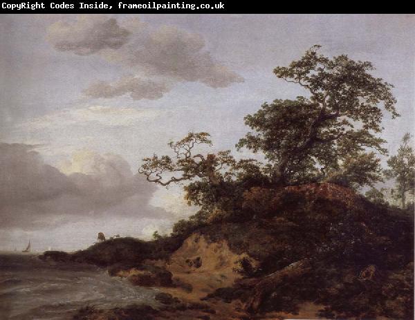 Jacob van Ruisdael Dunes by the sea